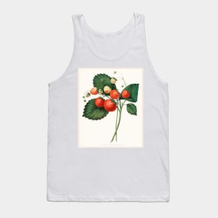 The Boston Pine Strawberry (1852) Tank Top